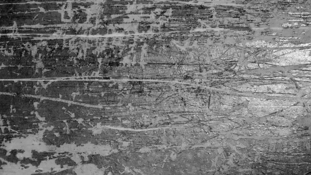 頽廃と退廃の欠落を愛でるエシカルな視点