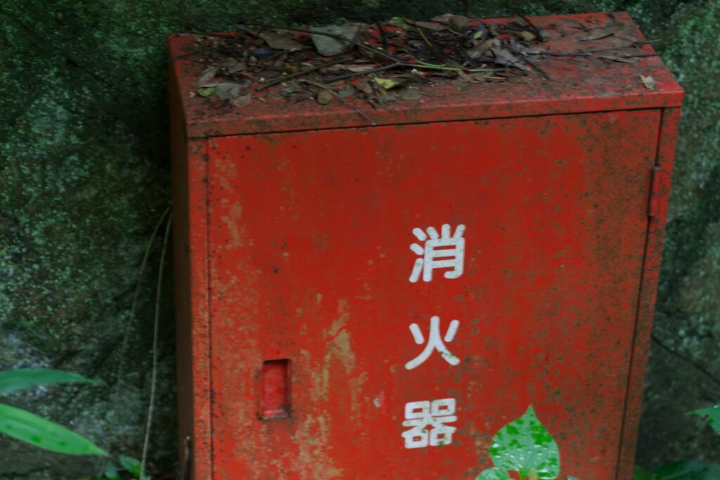 まとめ|退廃と頽廃、それぞれから始まる物語がある